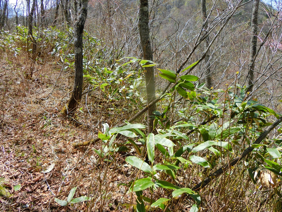 f:id:msx4:20200930182707j:plain