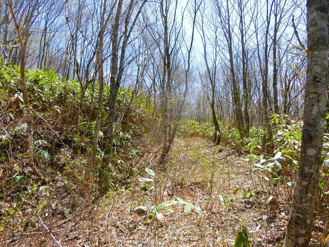 f:id:msx4:20200930215750j:plain