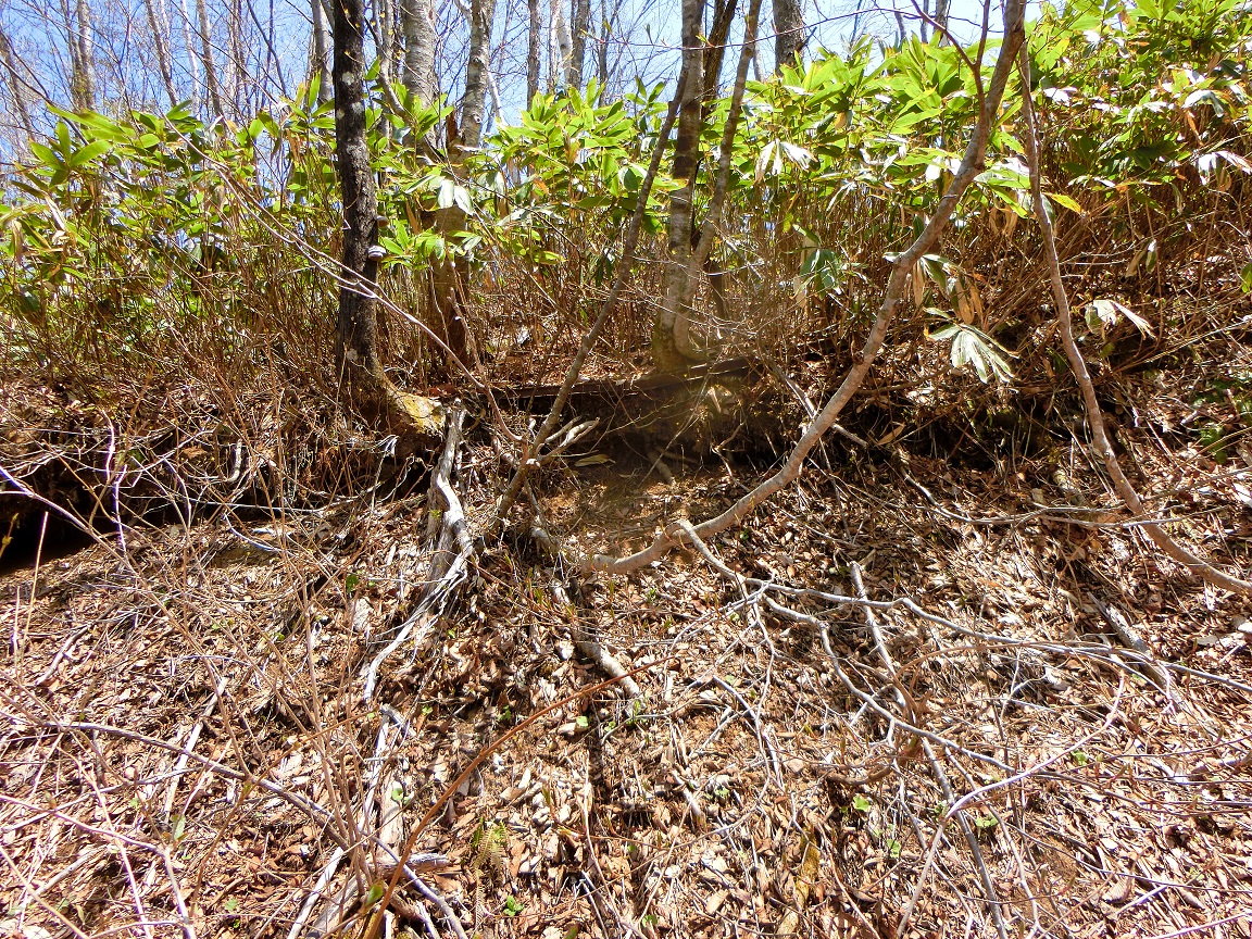 f:id:msx4:20200930221442j:plain