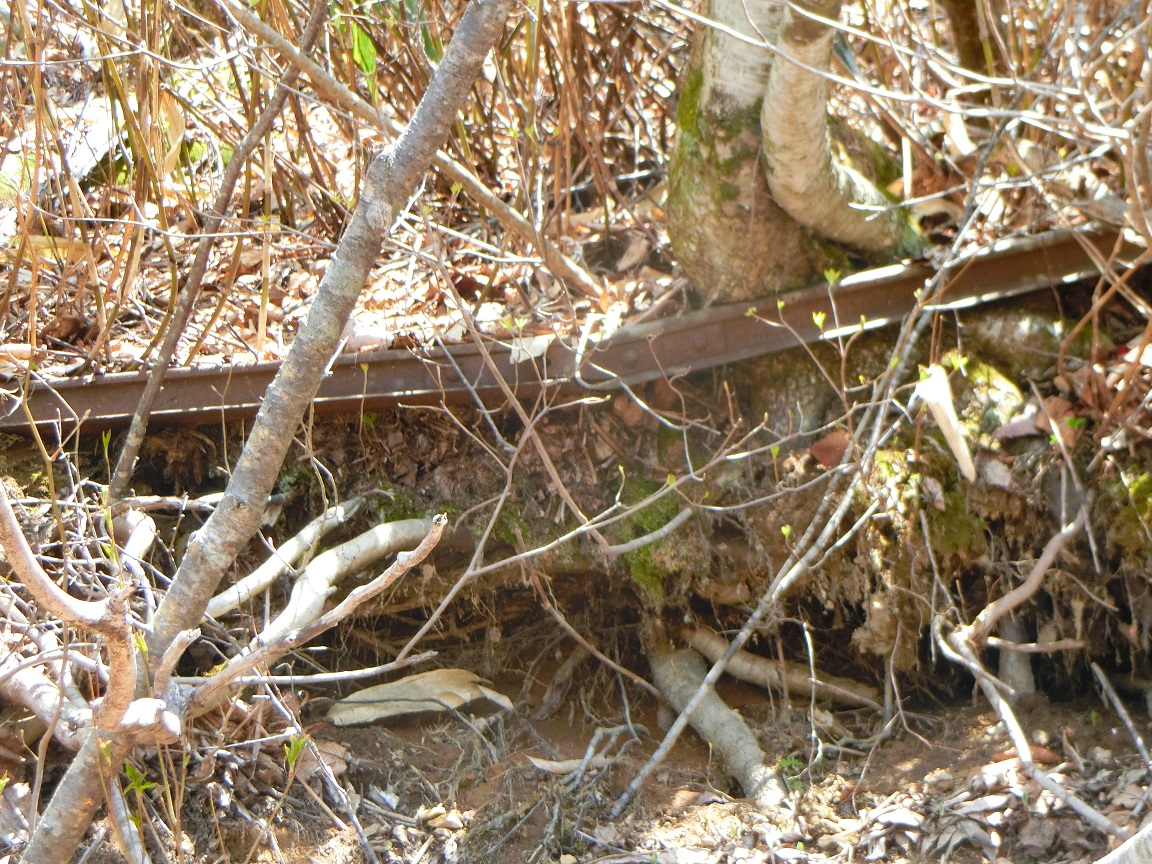 f:id:msx4:20200930221844j:plain