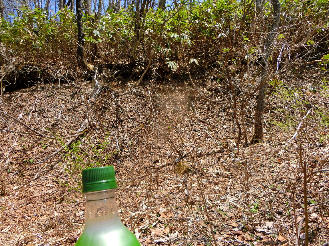 f:id:msx4:20200930223754j:plain