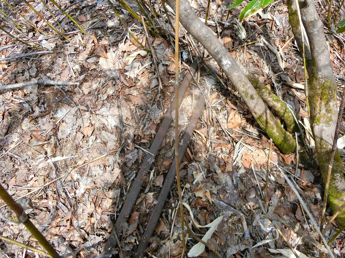 f:id:msx4:20200930224559j:plain