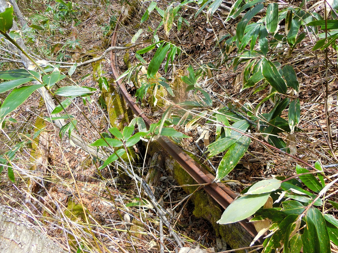 f:id:msx4:20200930230802j:plain