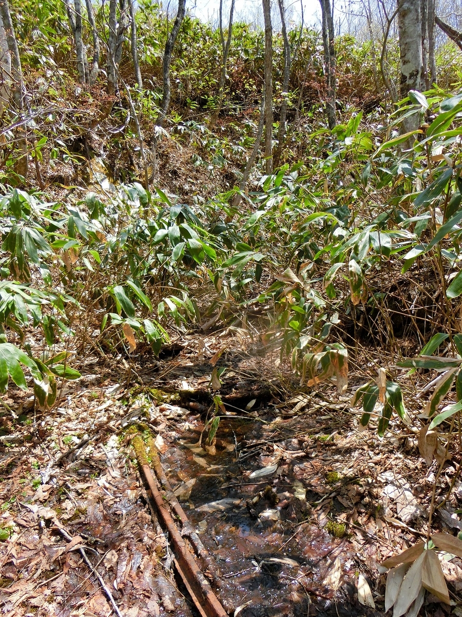 f:id:msx4:20200930232145j:plain