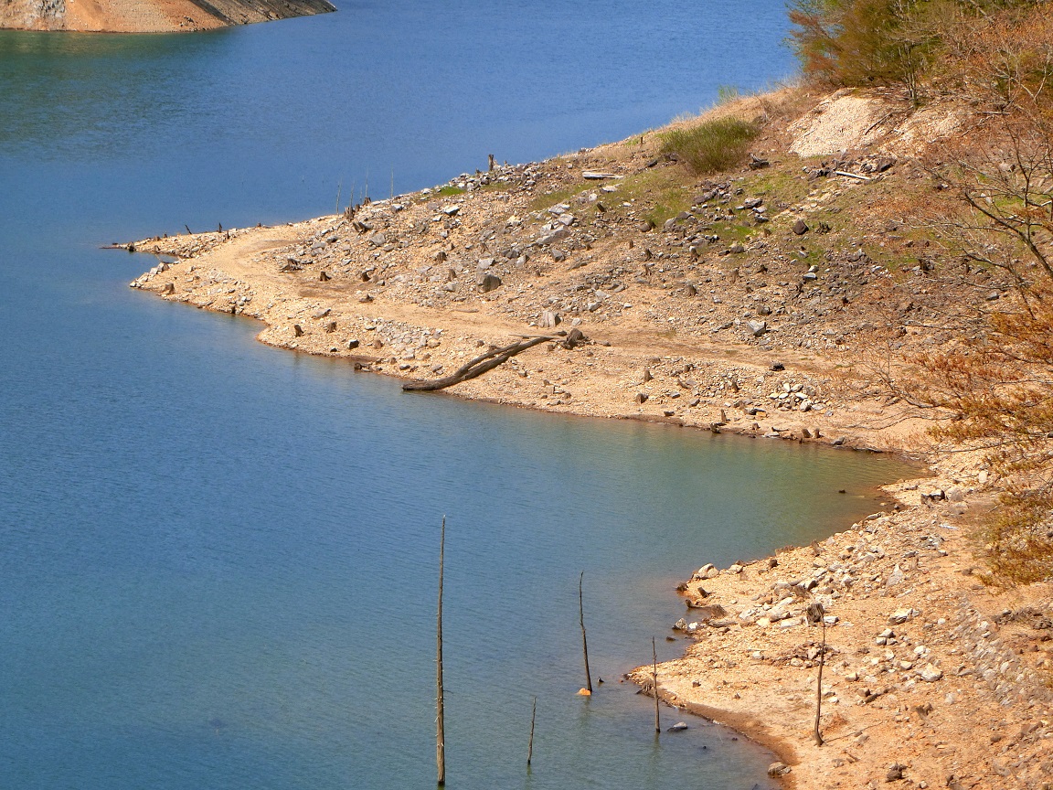 f:id:msx4:20201003011932j:plain