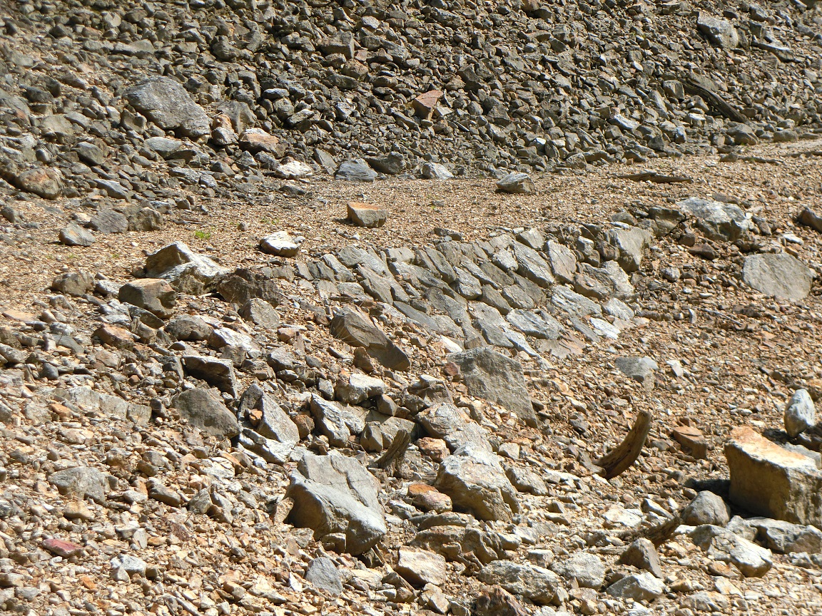 f:id:msx4:20201003022614j:plain