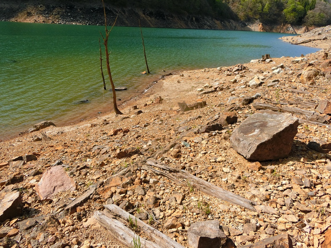 f:id:msx4:20201004000752j:plain