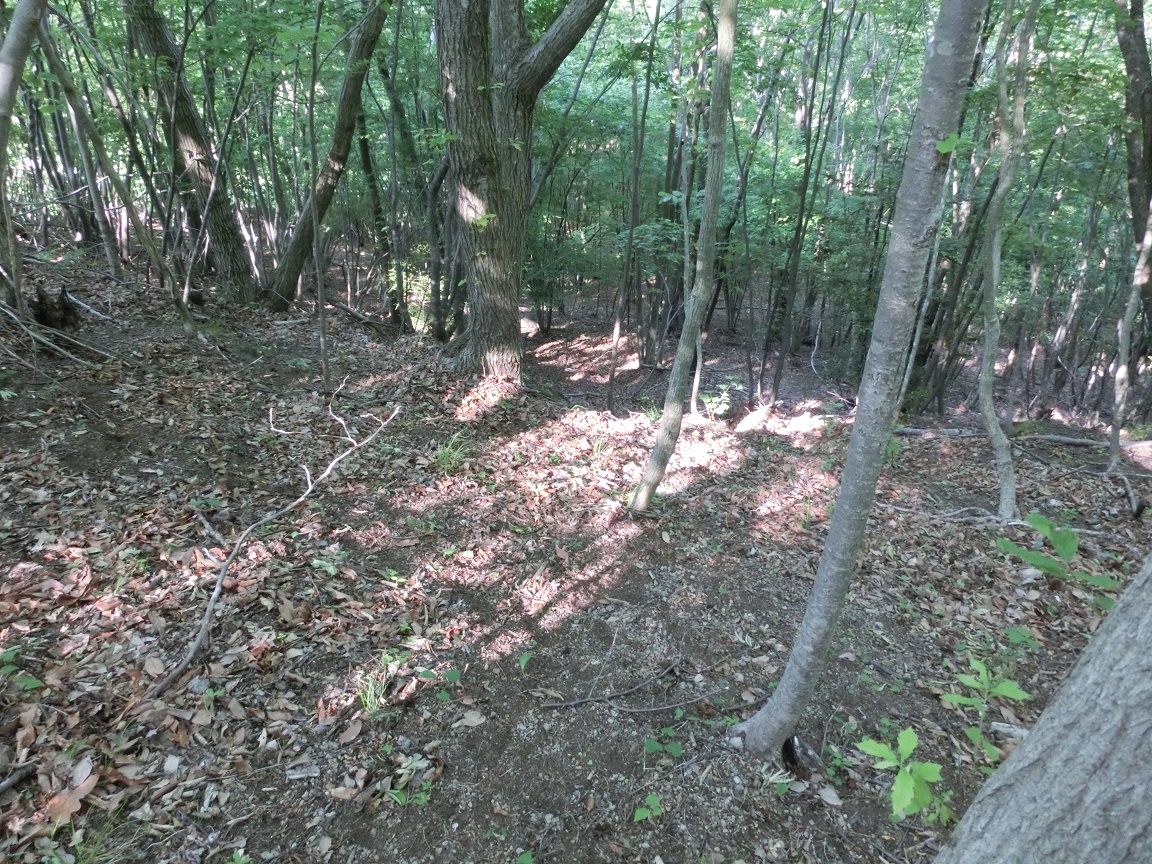 f:id:msx4:20201027222042j:plain