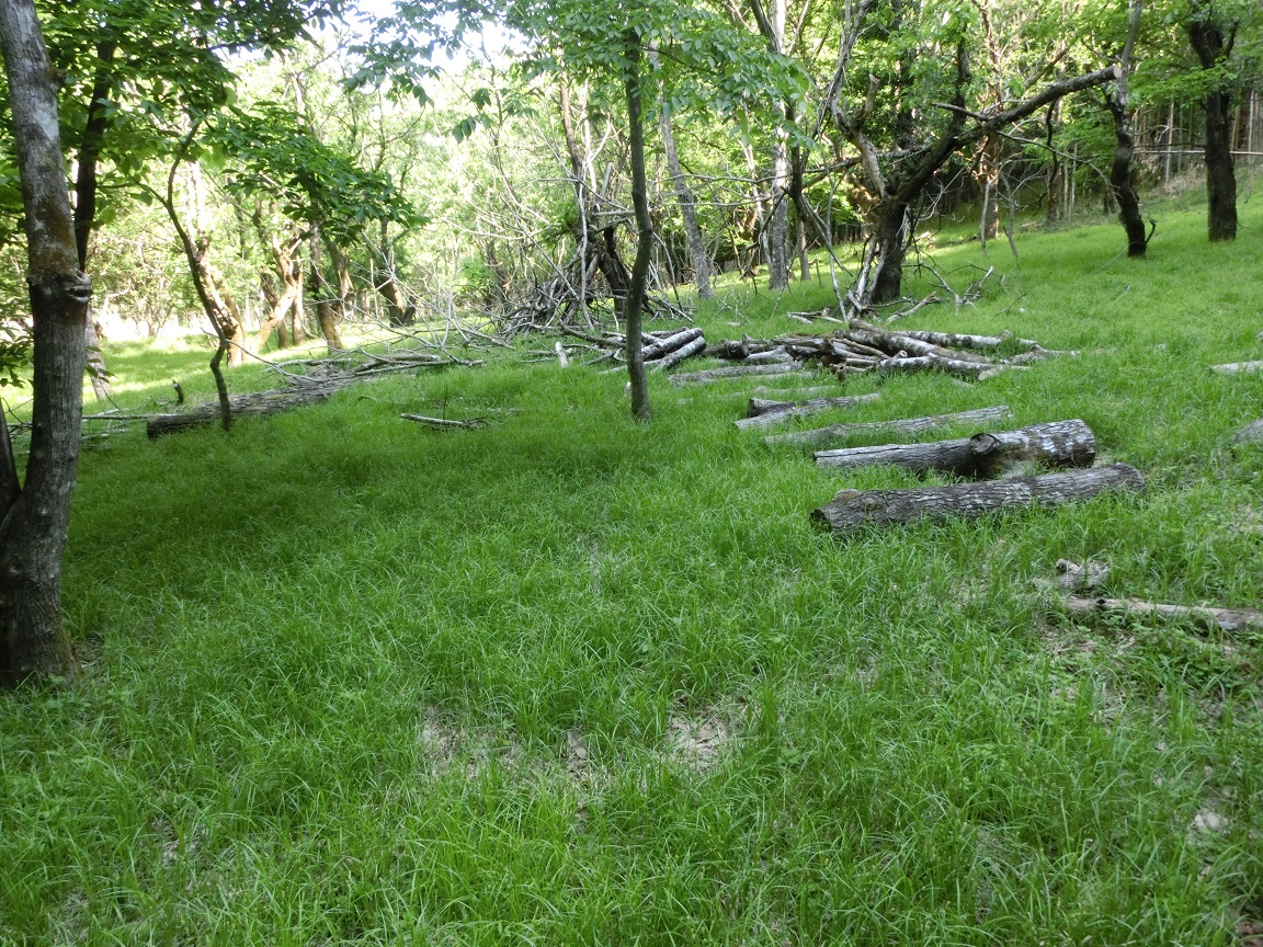 f:id:msx4:20201027222512j:plain