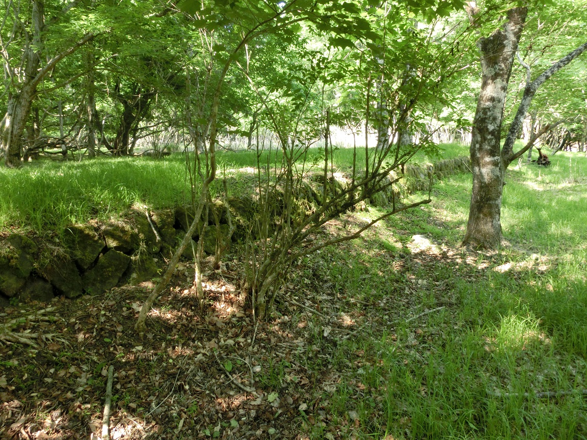 f:id:msx4:20201027230035j:plain