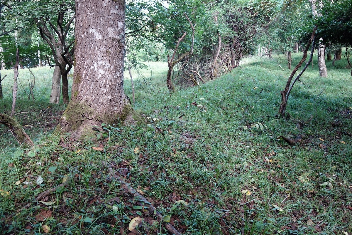 f:id:msx4:20201220213438j:plain