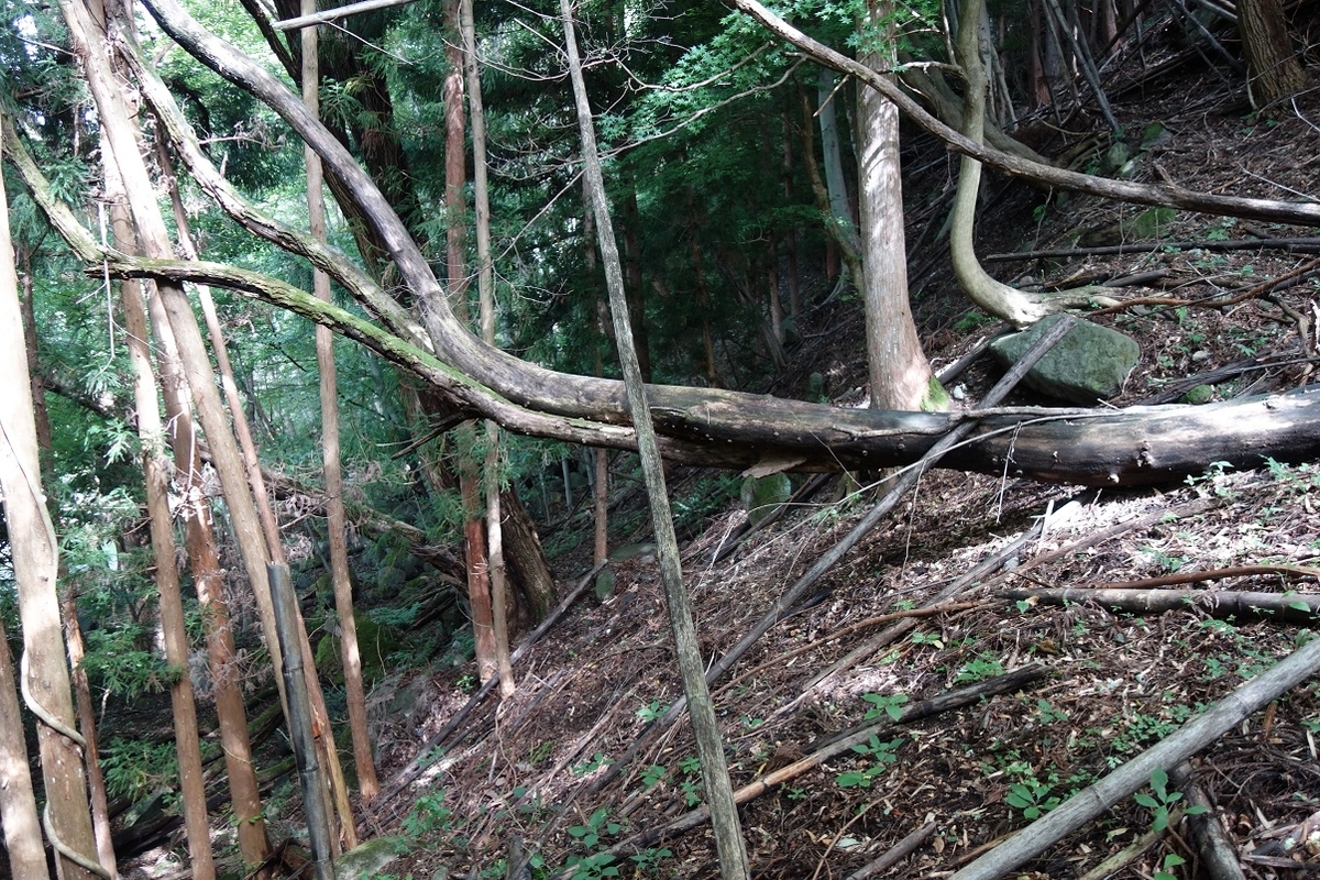 f:id:msx4:20201220213627j:plain