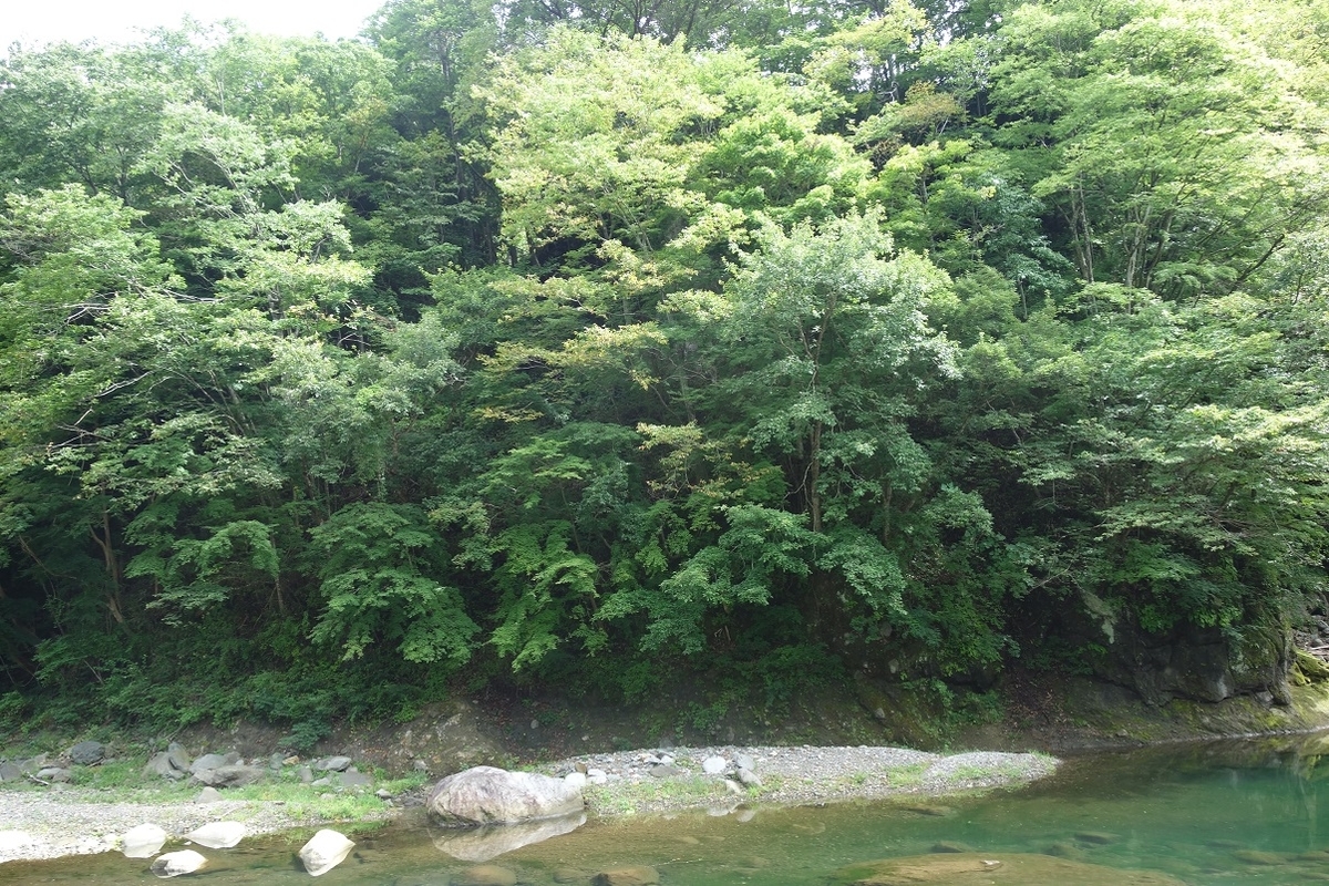 f:id:msx4:20201220230147j:plain