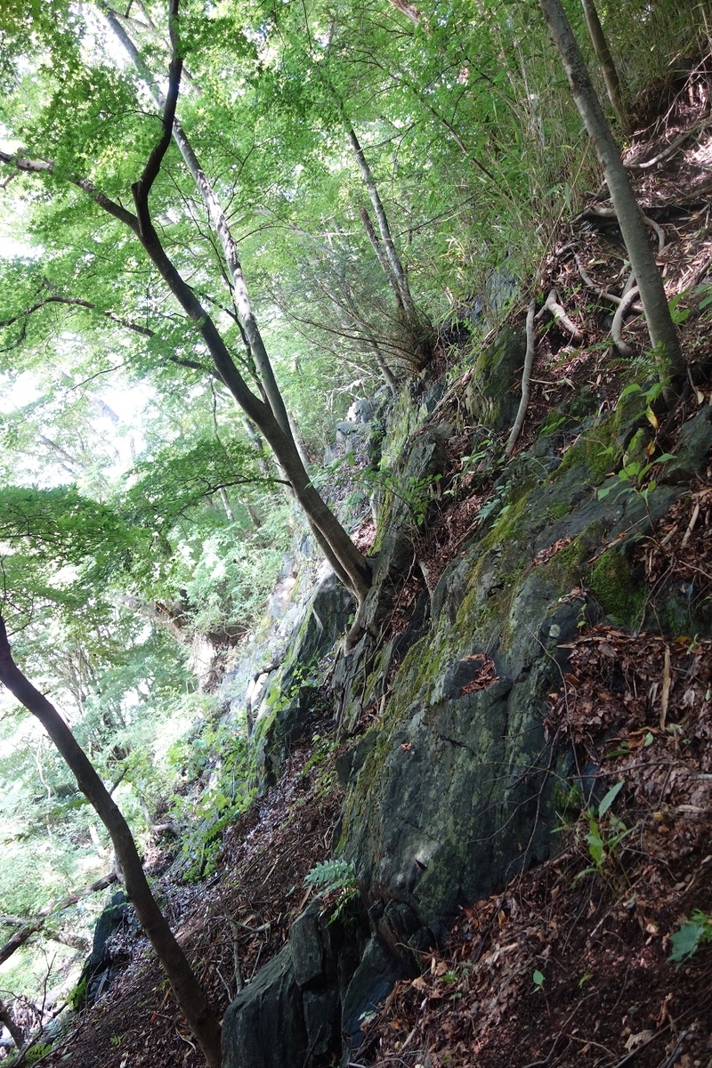 f:id:msx4:20201220235337j:plain