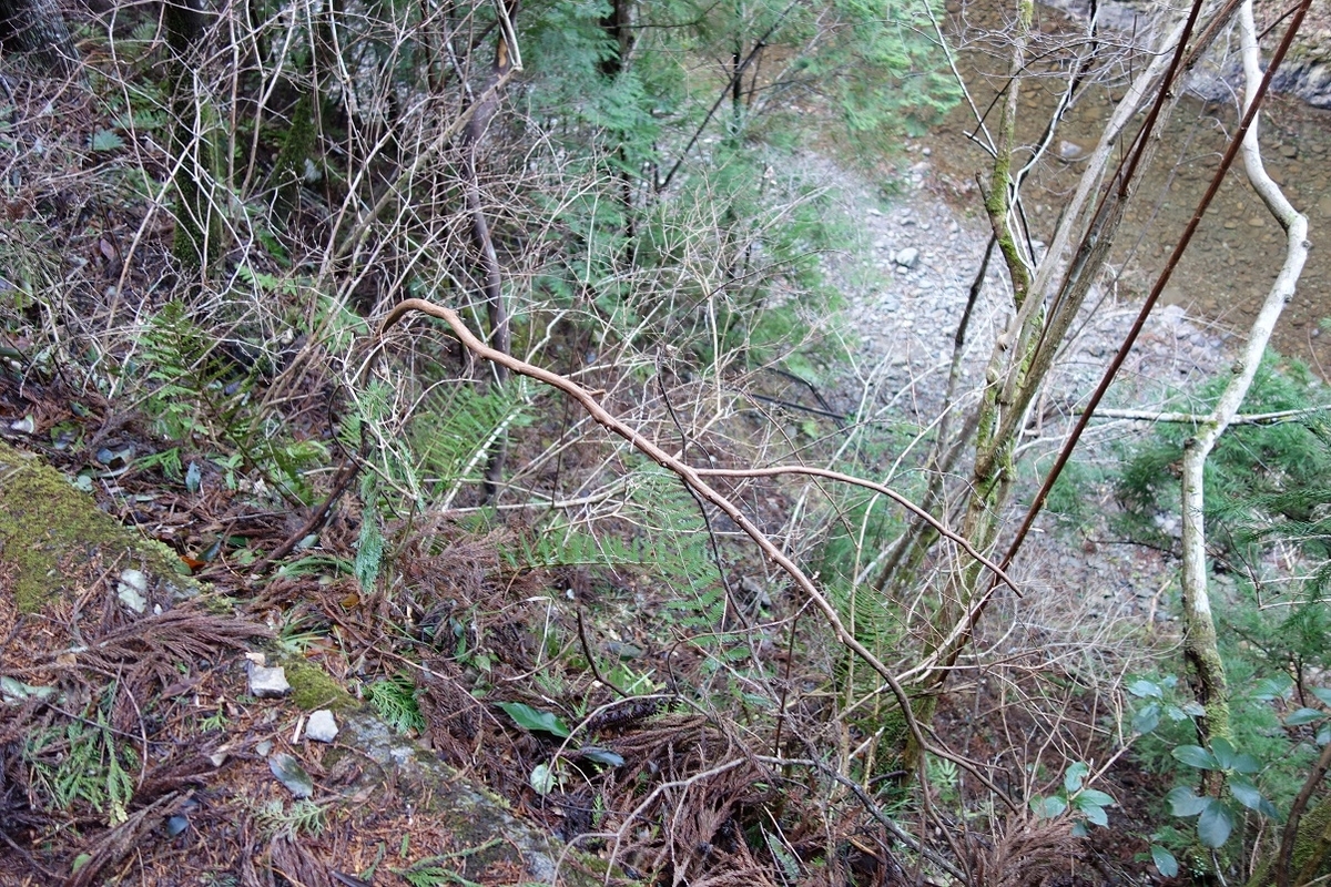 f:id:msx4:20210209213739j:plain