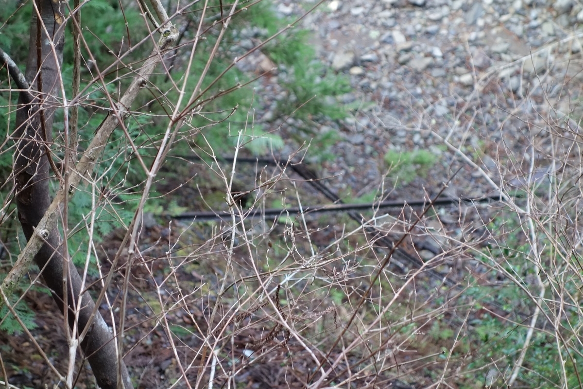 f:id:msx4:20210209214822j:plain