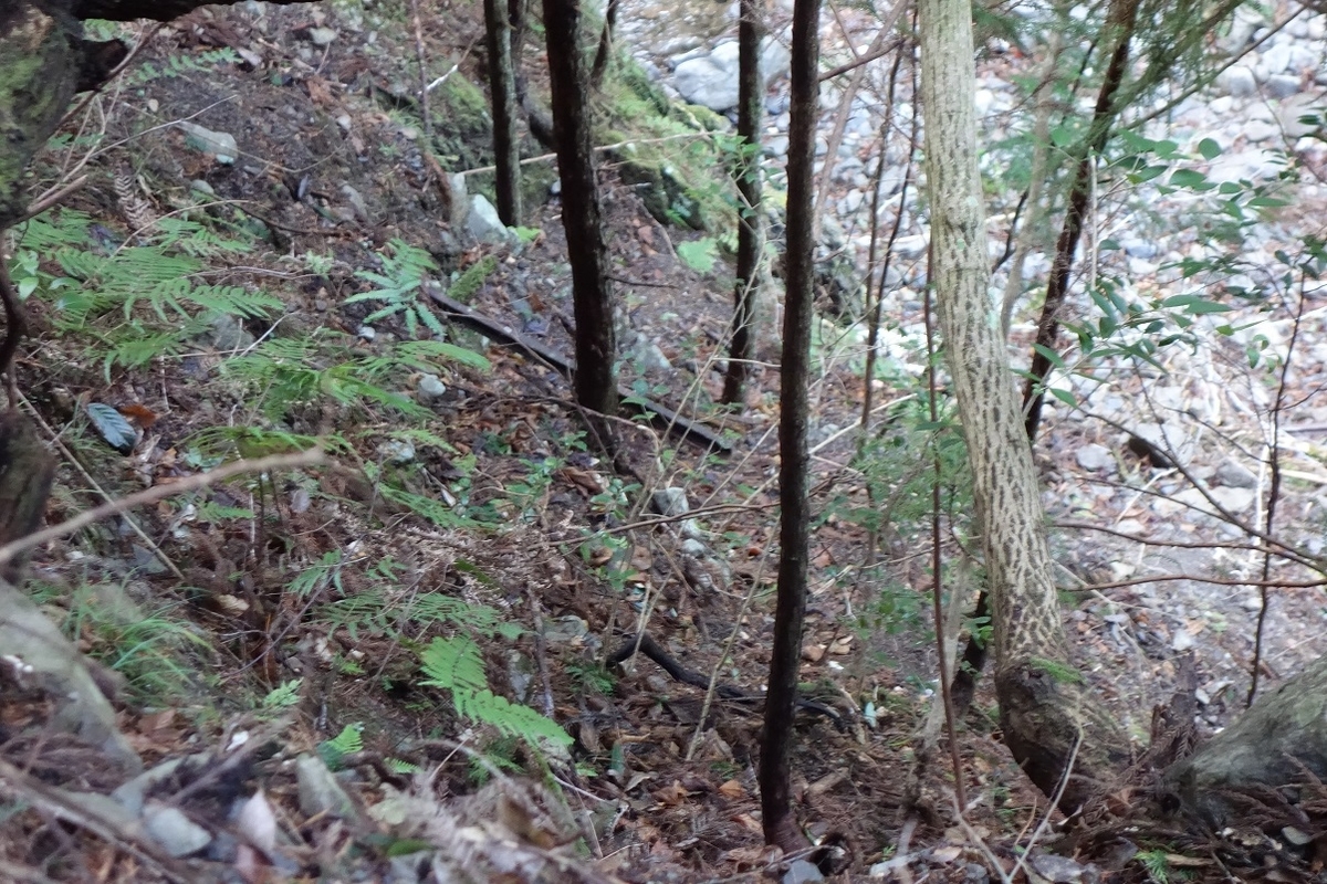 f:id:msx4:20210212003359j:plain