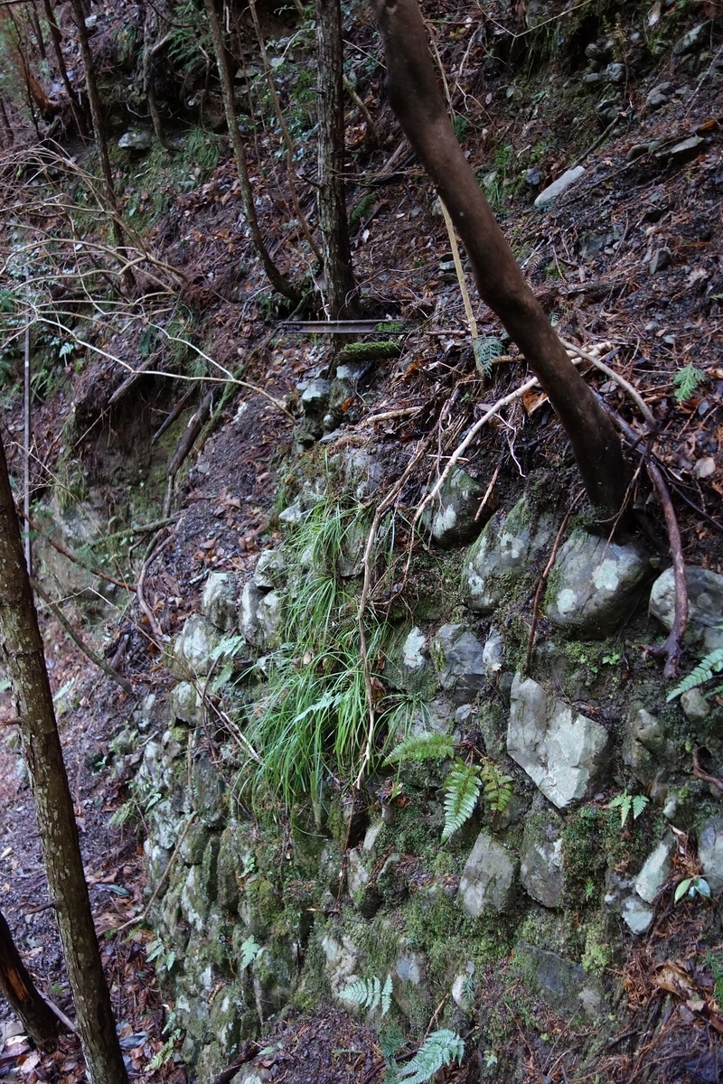 f:id:msx4:20210212010255j:plain