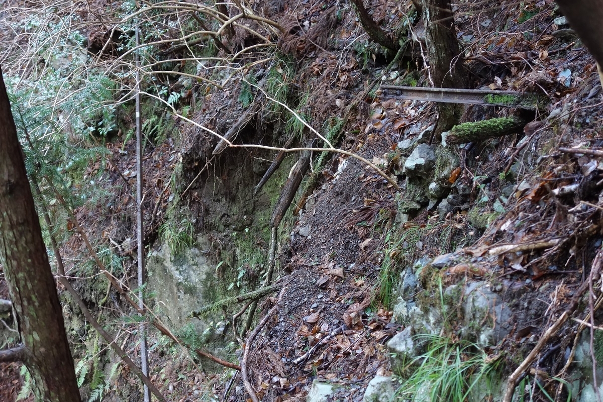 f:id:msx4:20210212010333j:plain