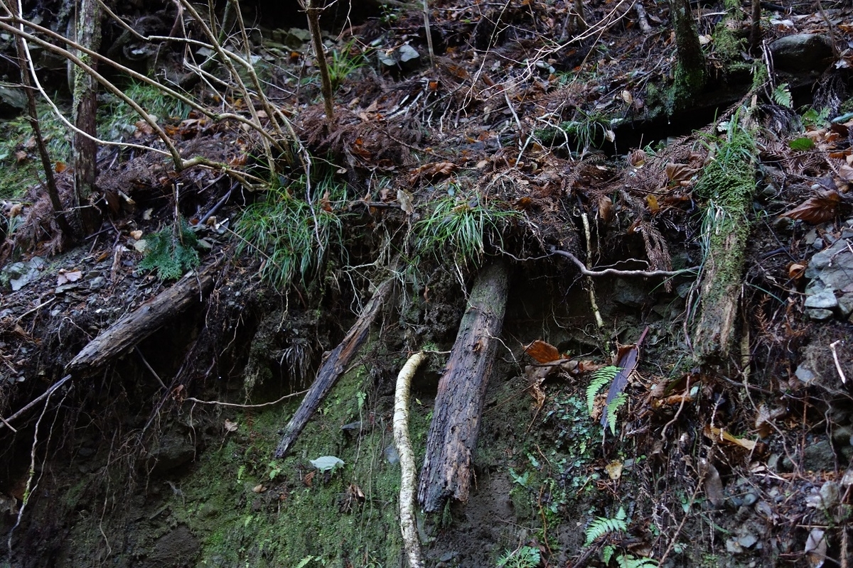 f:id:msx4:20210212010446j:plain