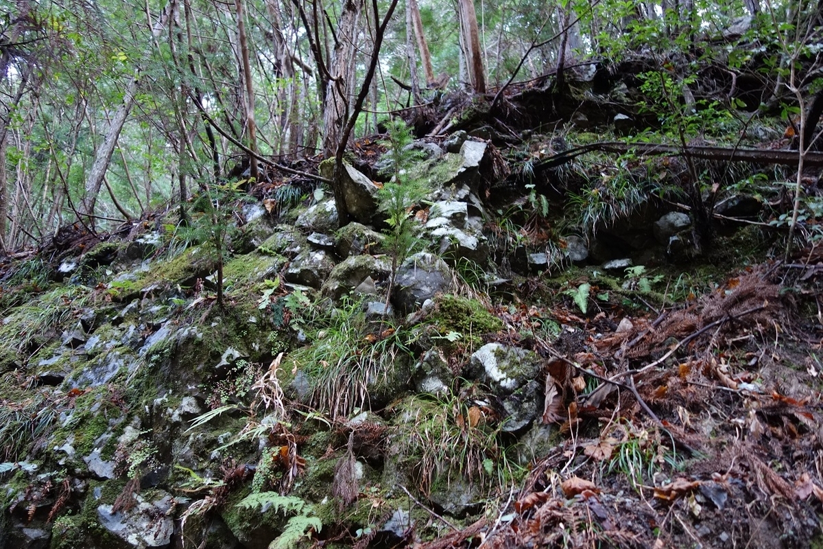 f:id:msx4:20210212010530j:plain