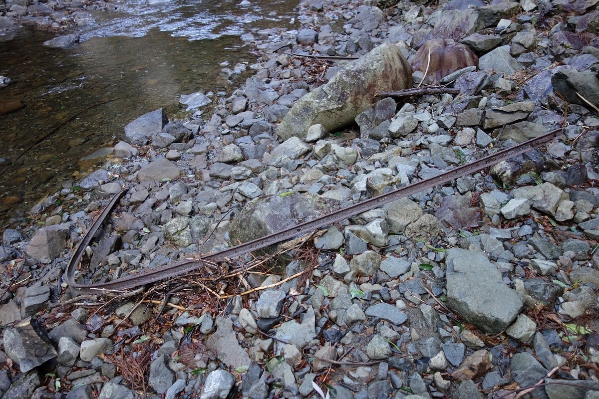 f:id:msx4:20210212010722j:plain