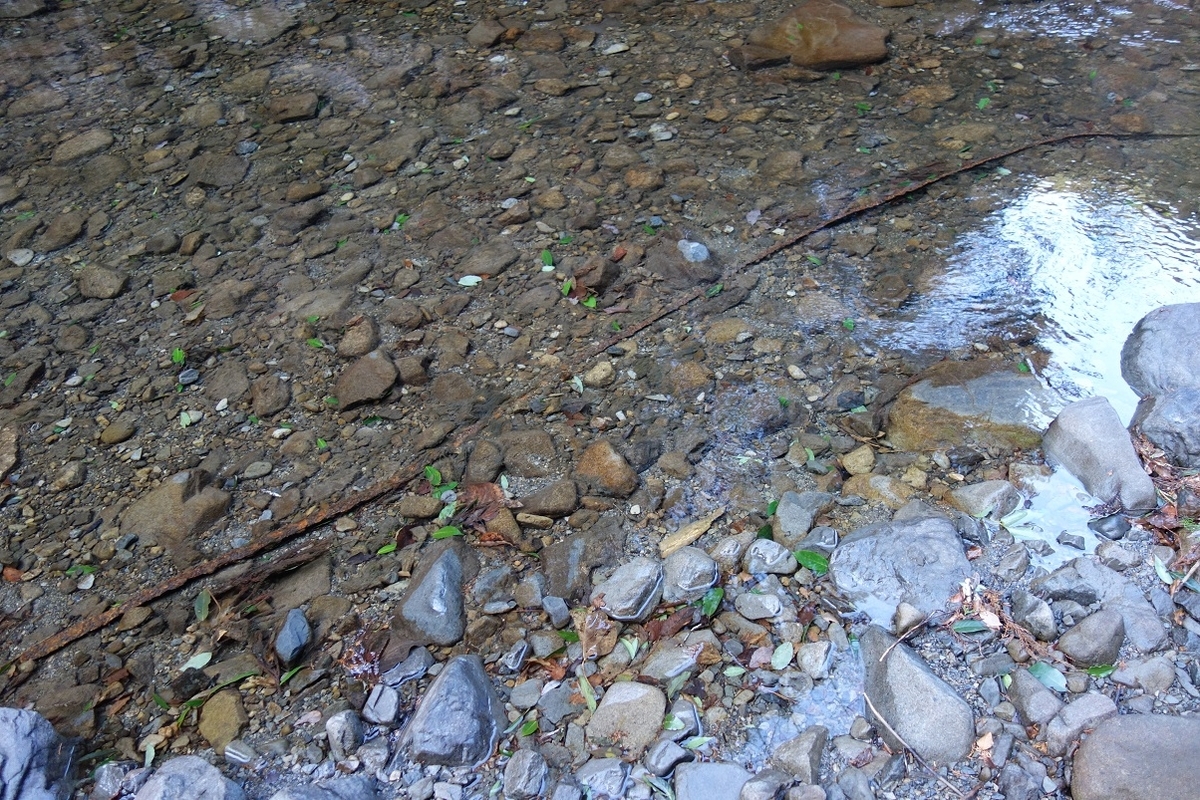 f:id:msx4:20210212010822j:plain