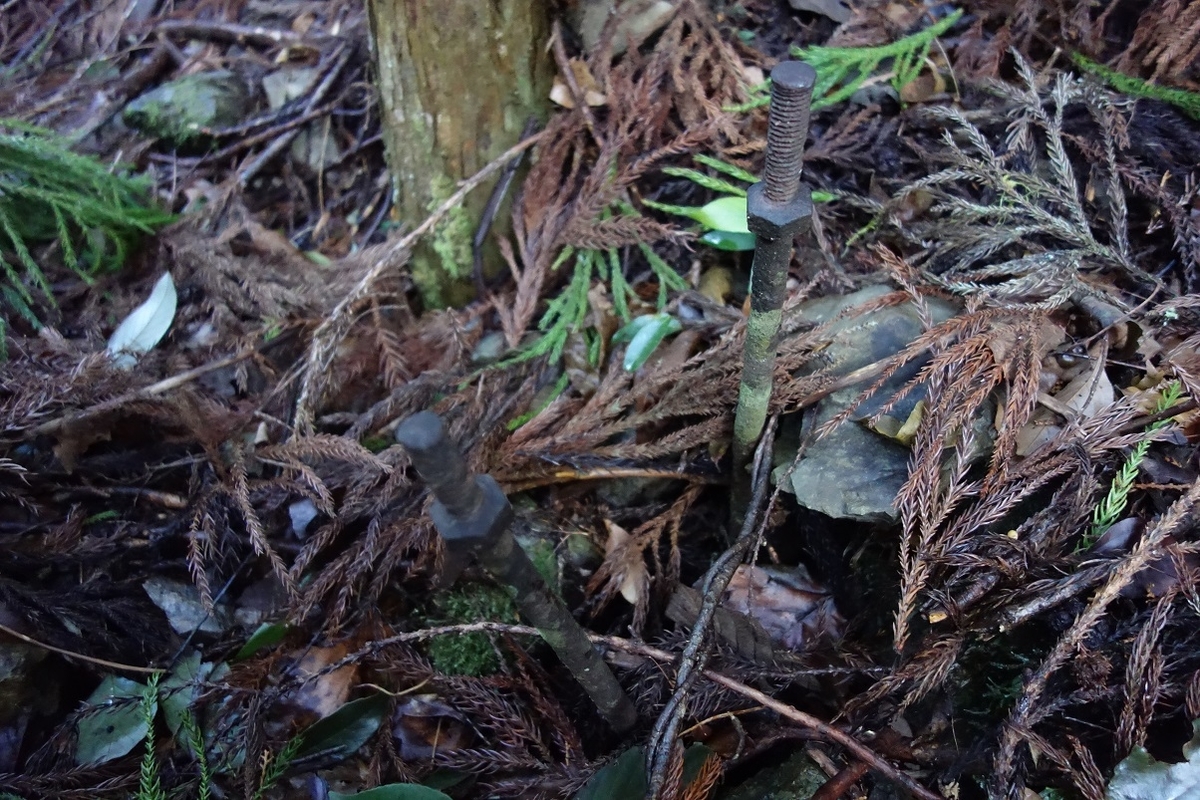 f:id:msx4:20210212011212j:plain