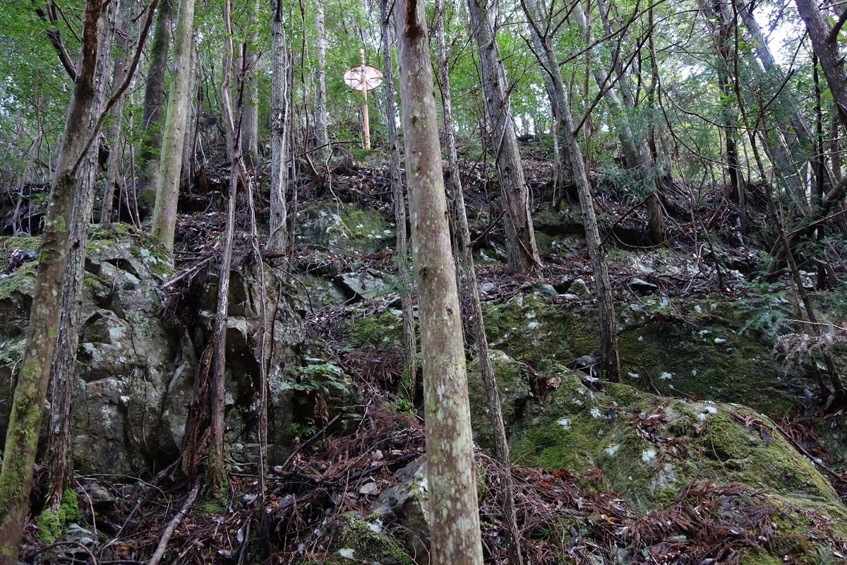 f:id:msx4:20210212011252j:plain