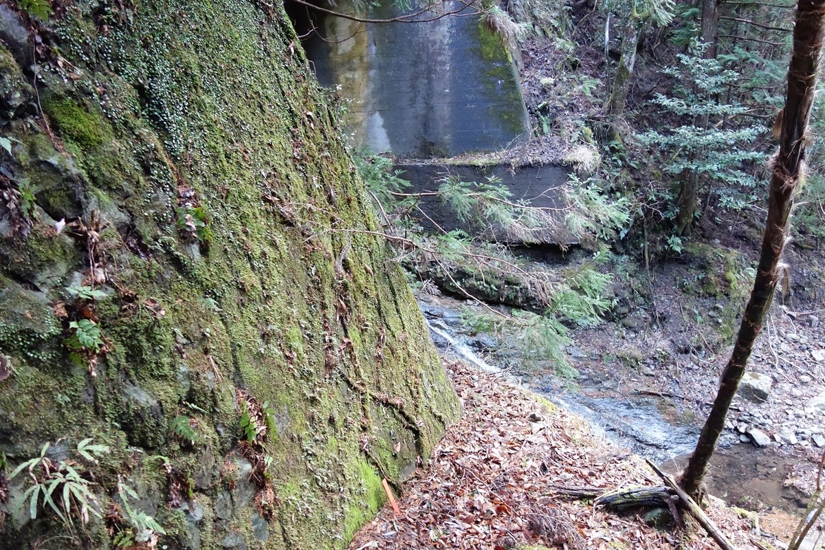 f:id:msx4:20210212011448j:plain