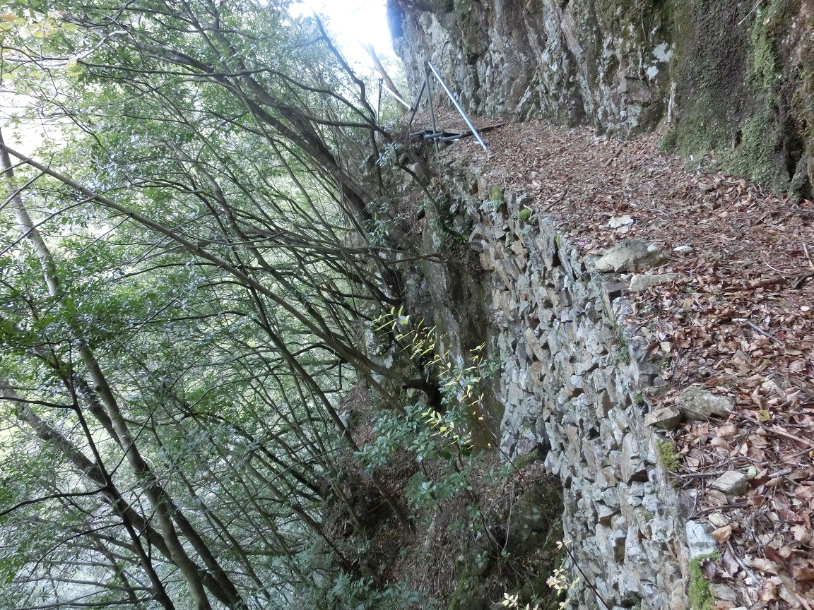 f:id:msx4:20210218214754j:plain