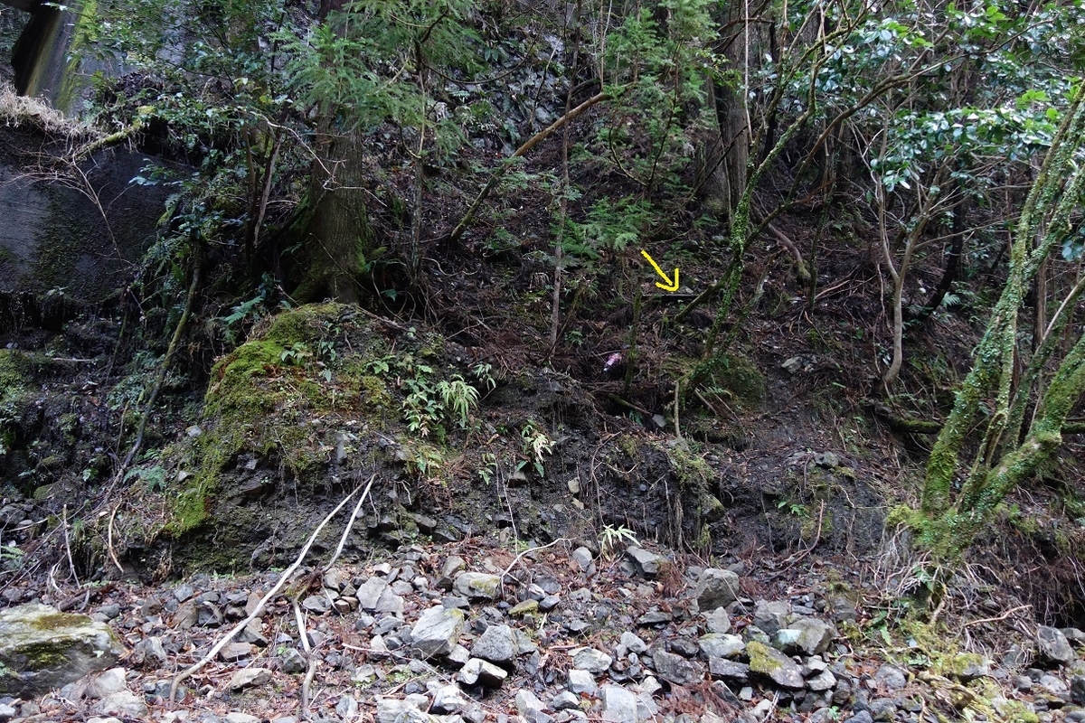 f:id:msx4:20210223220555j:plain