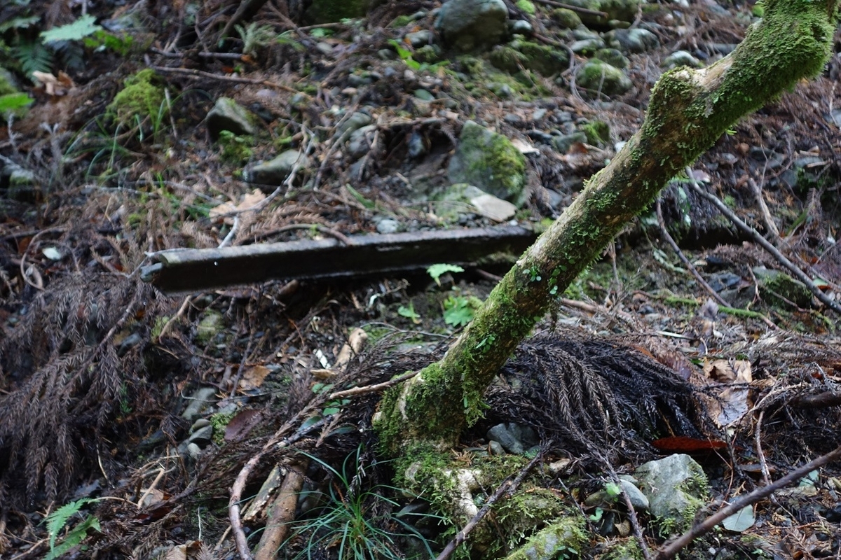 f:id:msx4:20210223221922j:plain