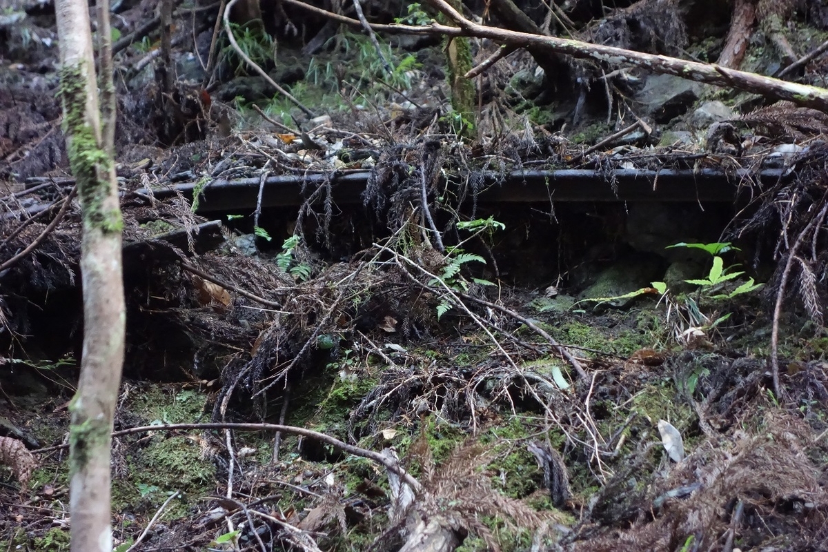 f:id:msx4:20210223222450j:plain