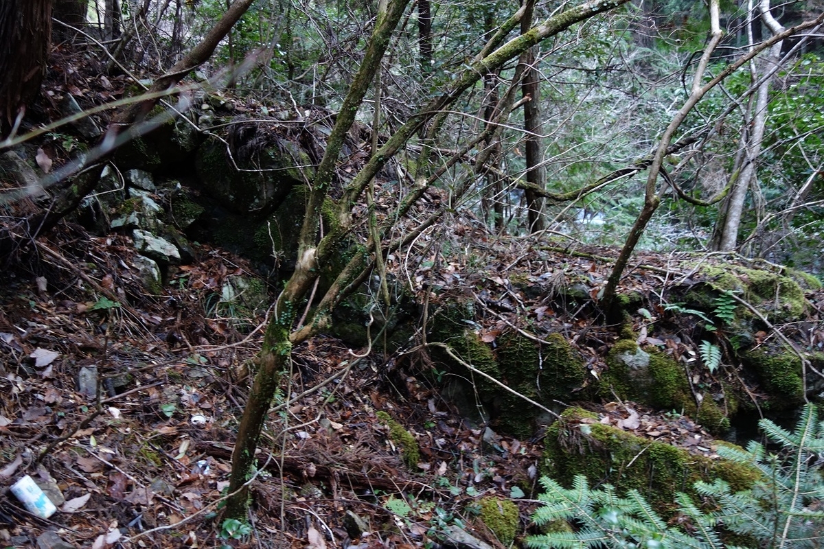 f:id:msx4:20210225205256j:plain