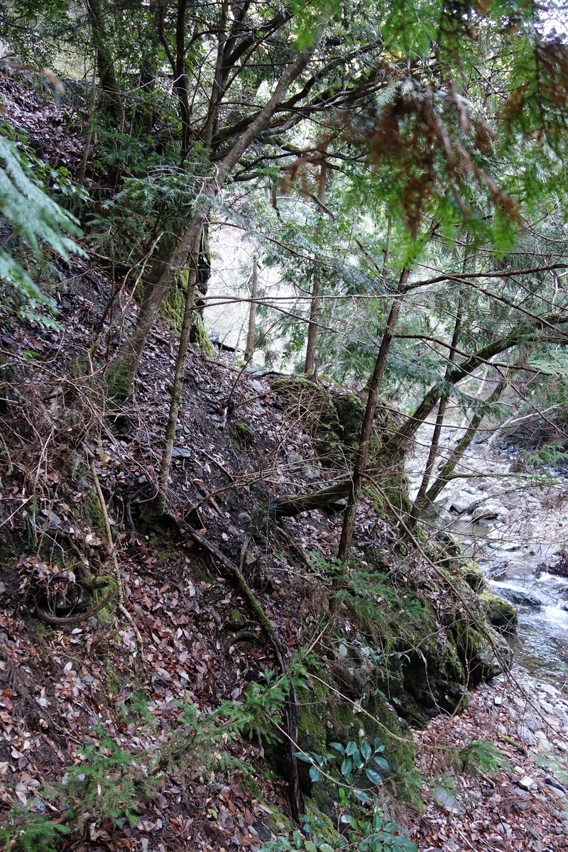 f:id:msx4:20210225211325j:plain