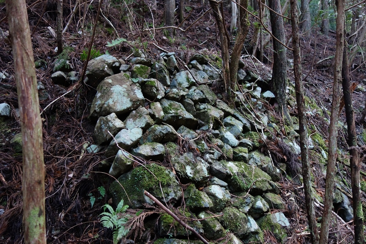 f:id:msx4:20210225221744j:plain