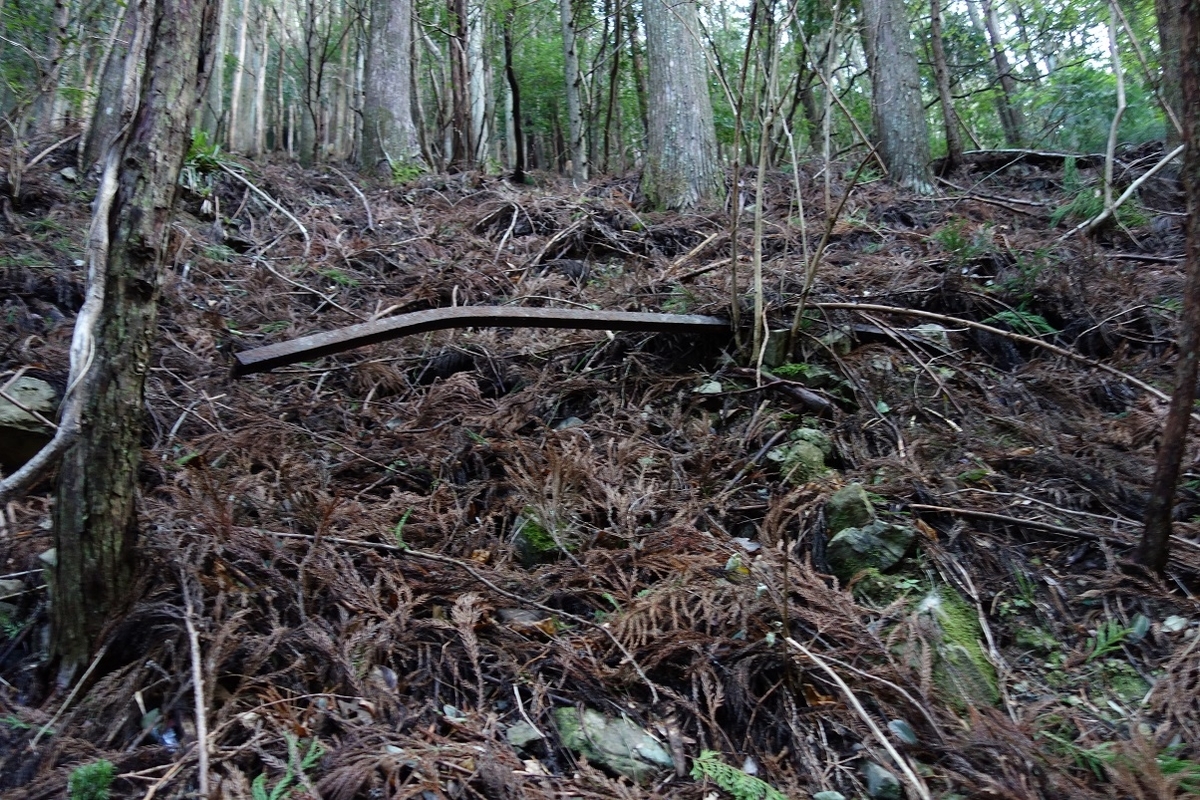 f:id:msx4:20210225222054j:plain