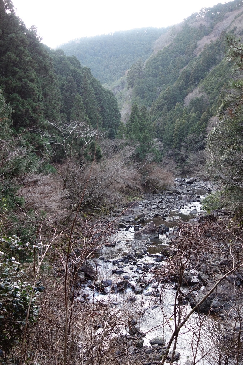 f:id:msx4:20210225224139j:plain