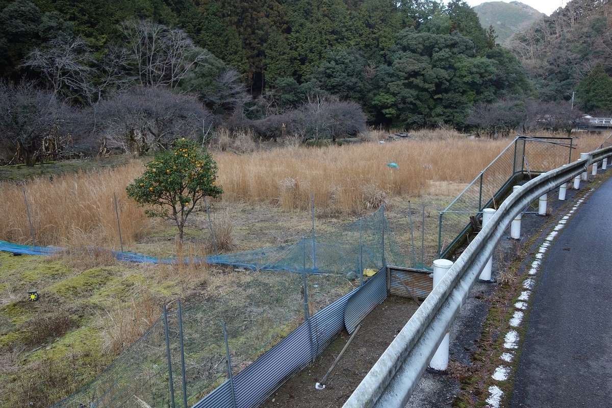 f:id:msx4:20210225225655j:plain