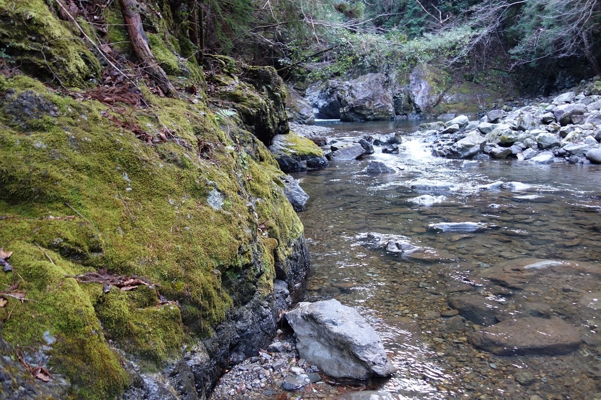 f:id:msx4:20210227001218j:plain