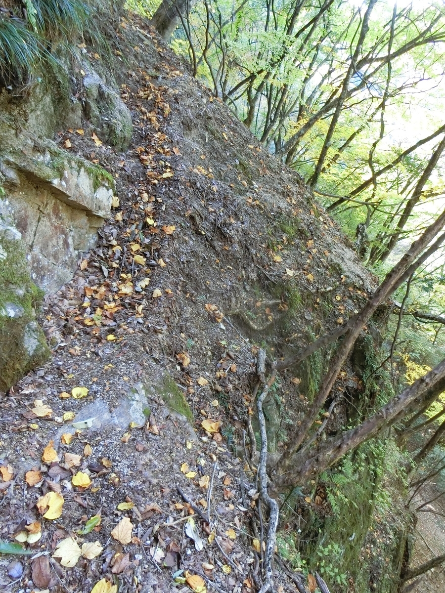 f:id:msx4:20210601084934j:plain