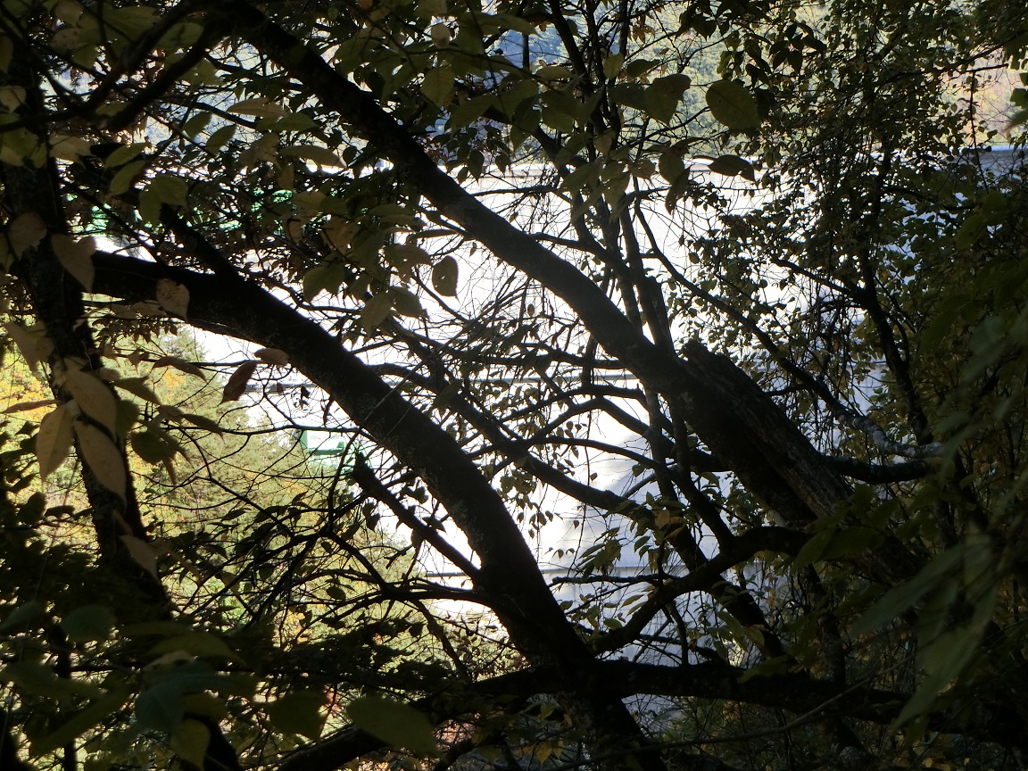 f:id:msx4:20210601085735j:plain