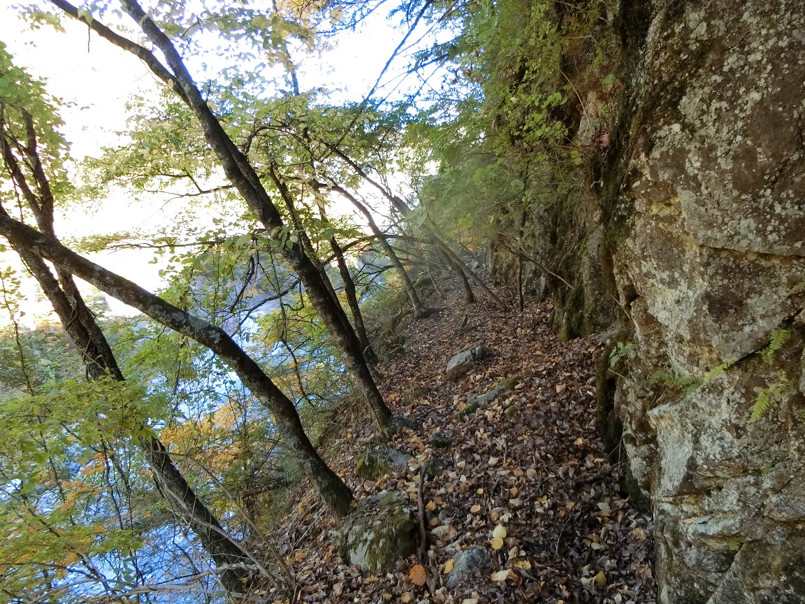 f:id:msx4:20210601085753j:plain