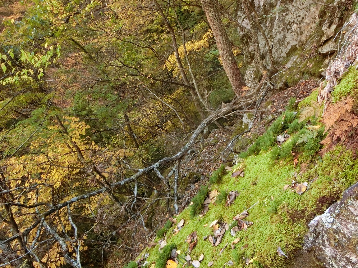 f:id:msx4:20210601090049j:plain