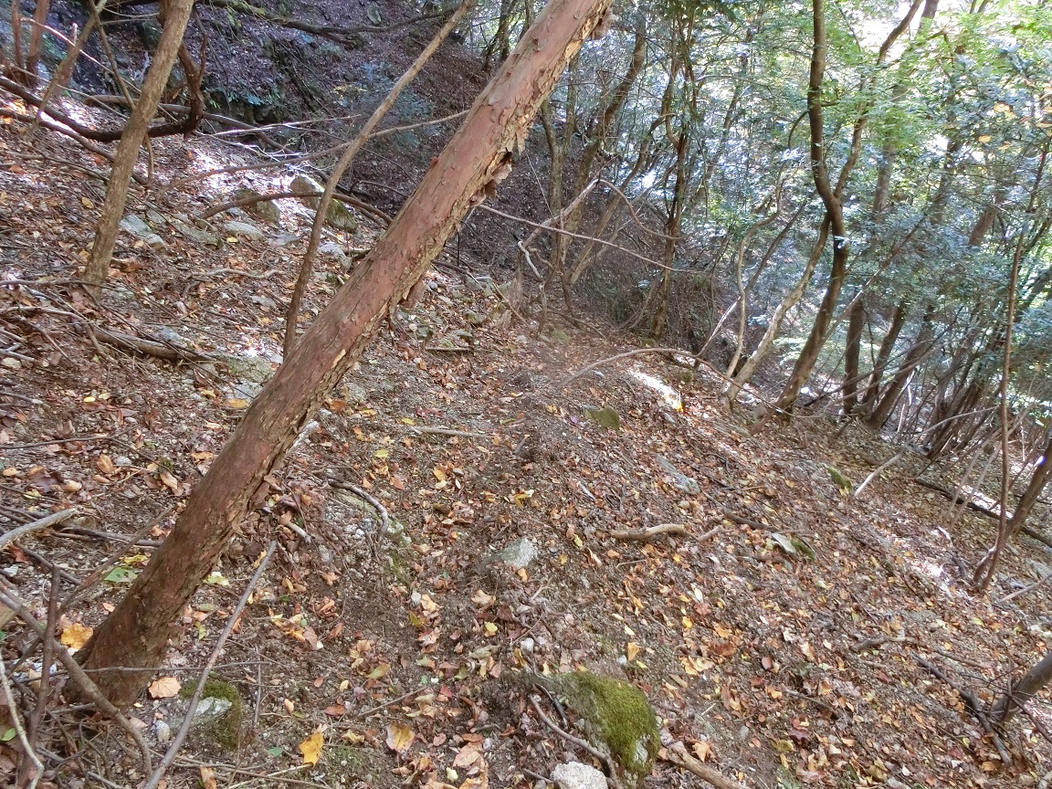 f:id:msx4:20210601090331j:plain