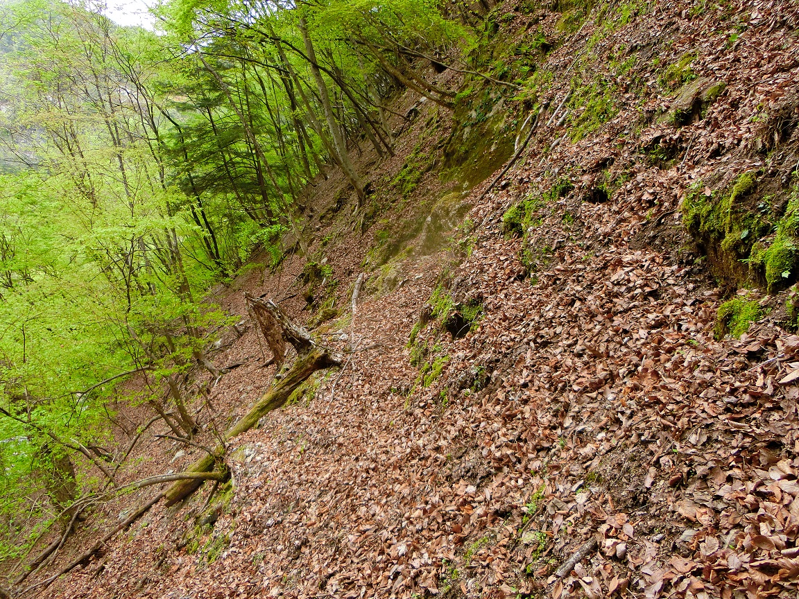 f:id:msx4:20210609233244j:plain