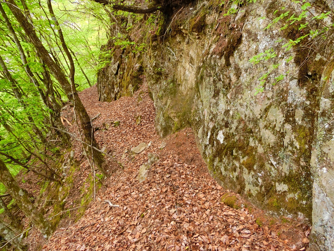 f:id:msx4:20210612221122j:plain