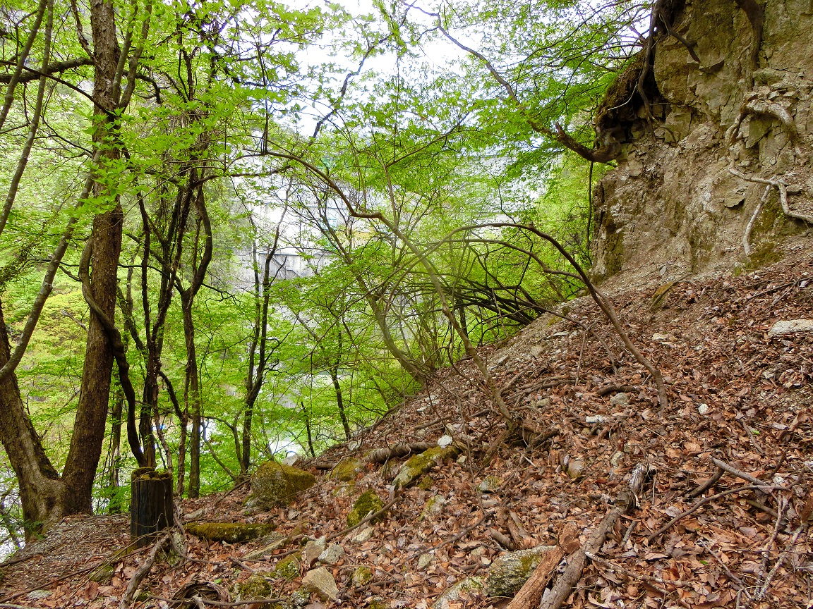 f:id:msx4:20210612225050j:plain