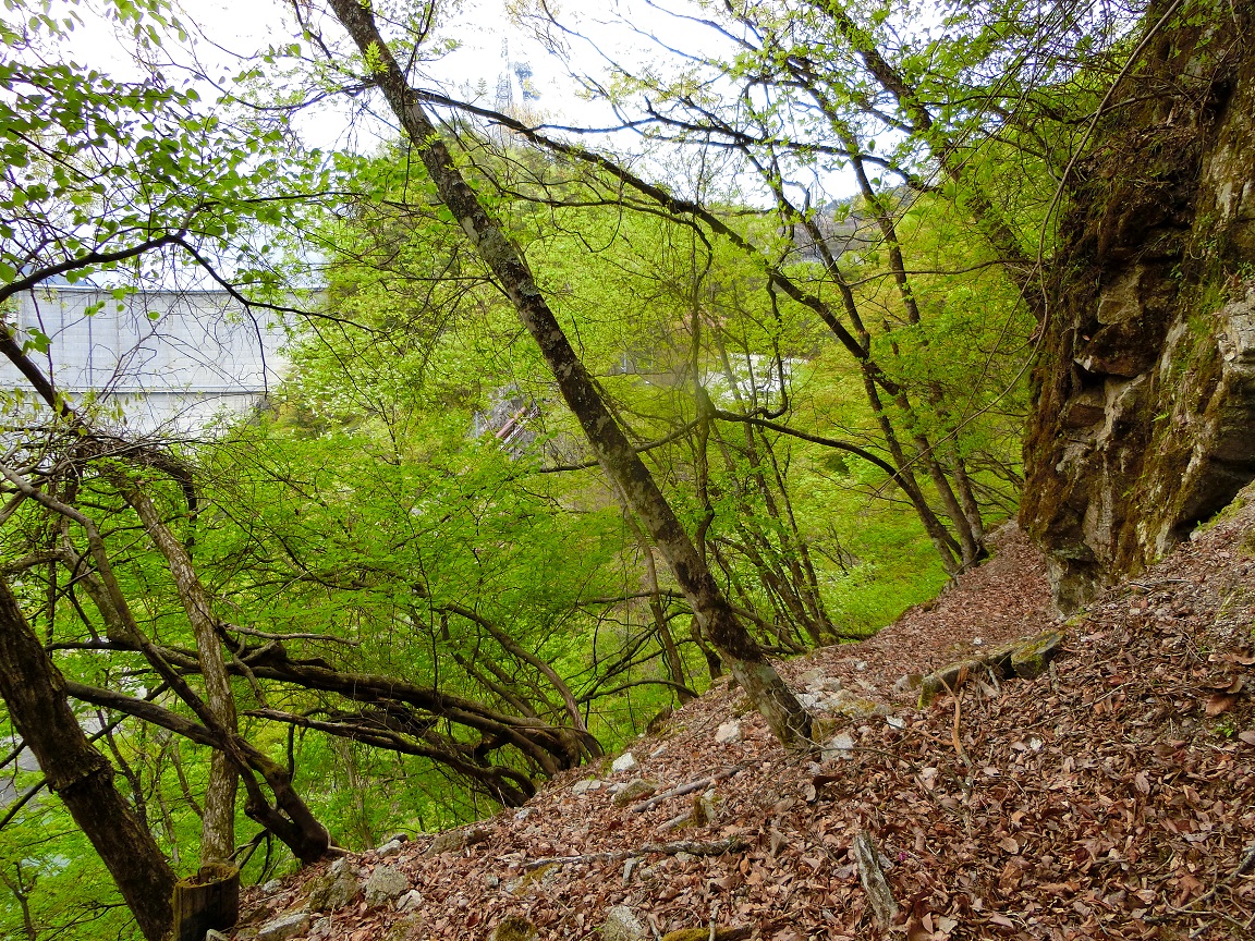 f:id:msx4:20210612225626j:plain